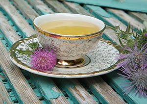 Milk thistle tea